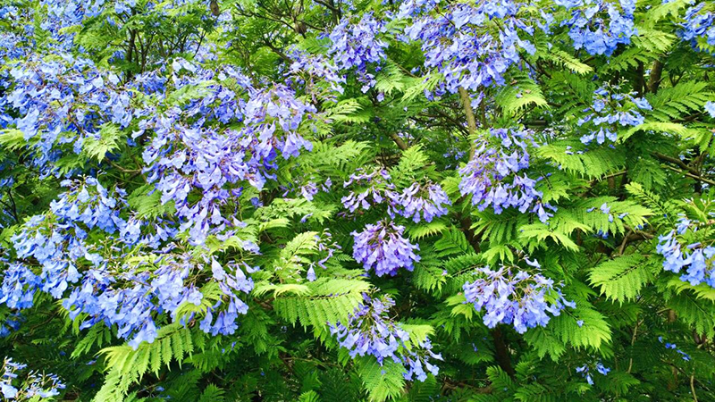 1747906975139566.png 1747906975139566.png